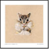 Chipmunk (First Edition) - Image 4
