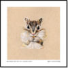 Chipmunk (First Edition) - Image 5